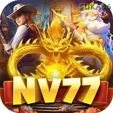 Nv77 — mitra unggulan